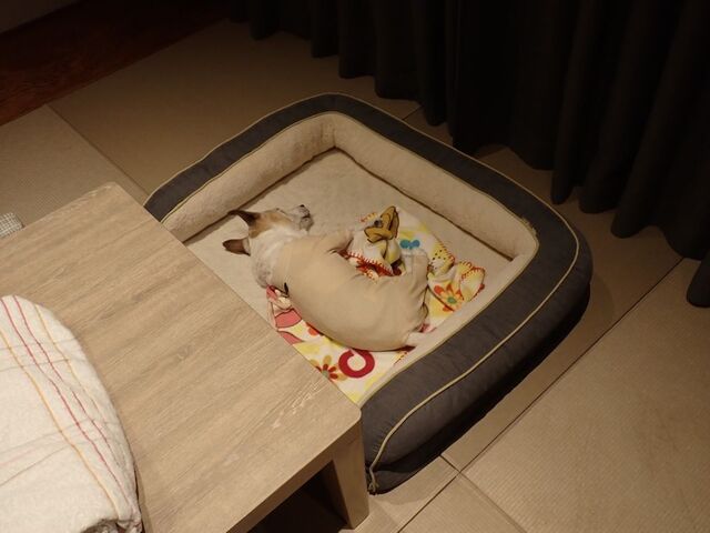 PB080264.JPG
